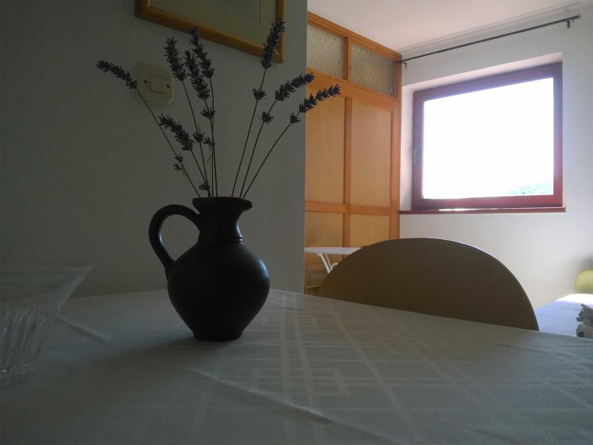North Adriatic View Apartment 拉巴克 外观 照片